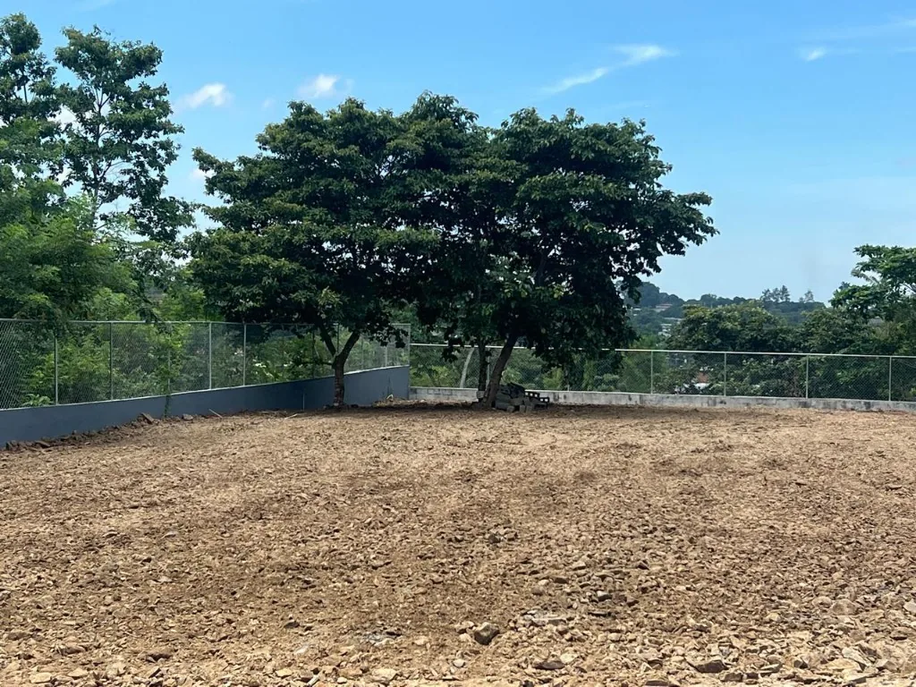 Lote de tierra nivelado, con cerca y árboles al fondo.